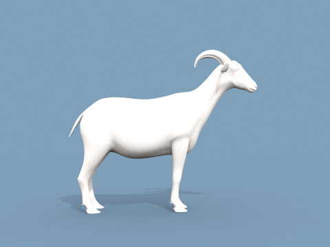 Goat Shape Modèle 3D