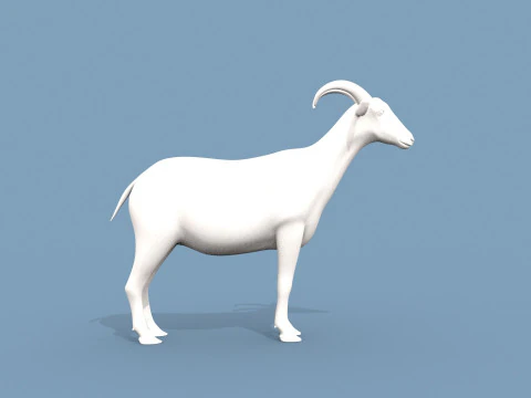 염소 모양 3D 모델