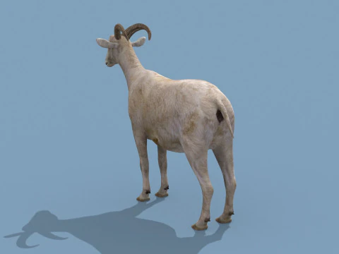 Top Goat 8K - 3d animated 3D Model
