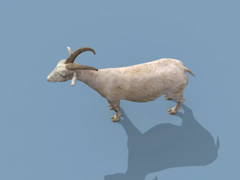 Top Goat 8K - 3d animated 3D Model