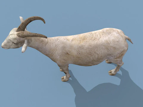 Top Goat 8K - 3d animated 3D Model