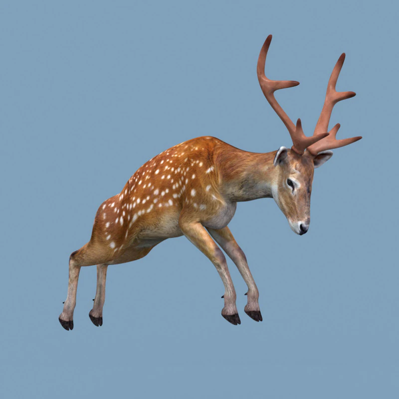 Pro Deer 8K - animado em 3D Modelo 3D .c4d .max .obj .3ds .fbx .stl .blend 