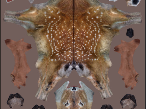 Pro Deer 8K - 3d animated 3D Model