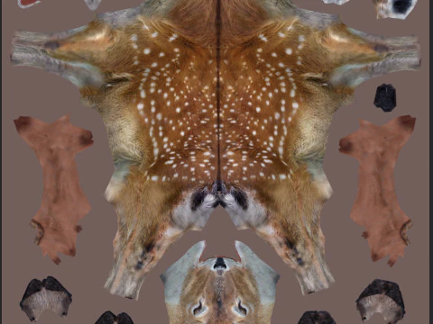 Pro Deer 8K - animado em 3D Modelo 3D