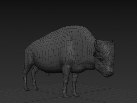 Pro Bison 8K - 3d animated 3D Model