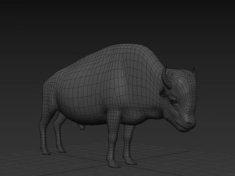 Pro Bison 8K - animazione 3D Modello 3D