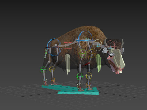 Pro Bison 8K - 3d animated 3D Model