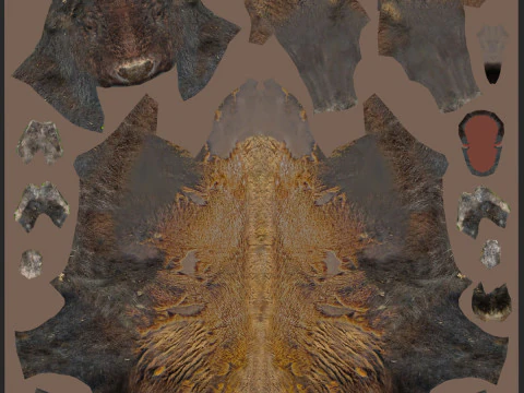 Pro Bison 8K - animazione 3D Modello 3D