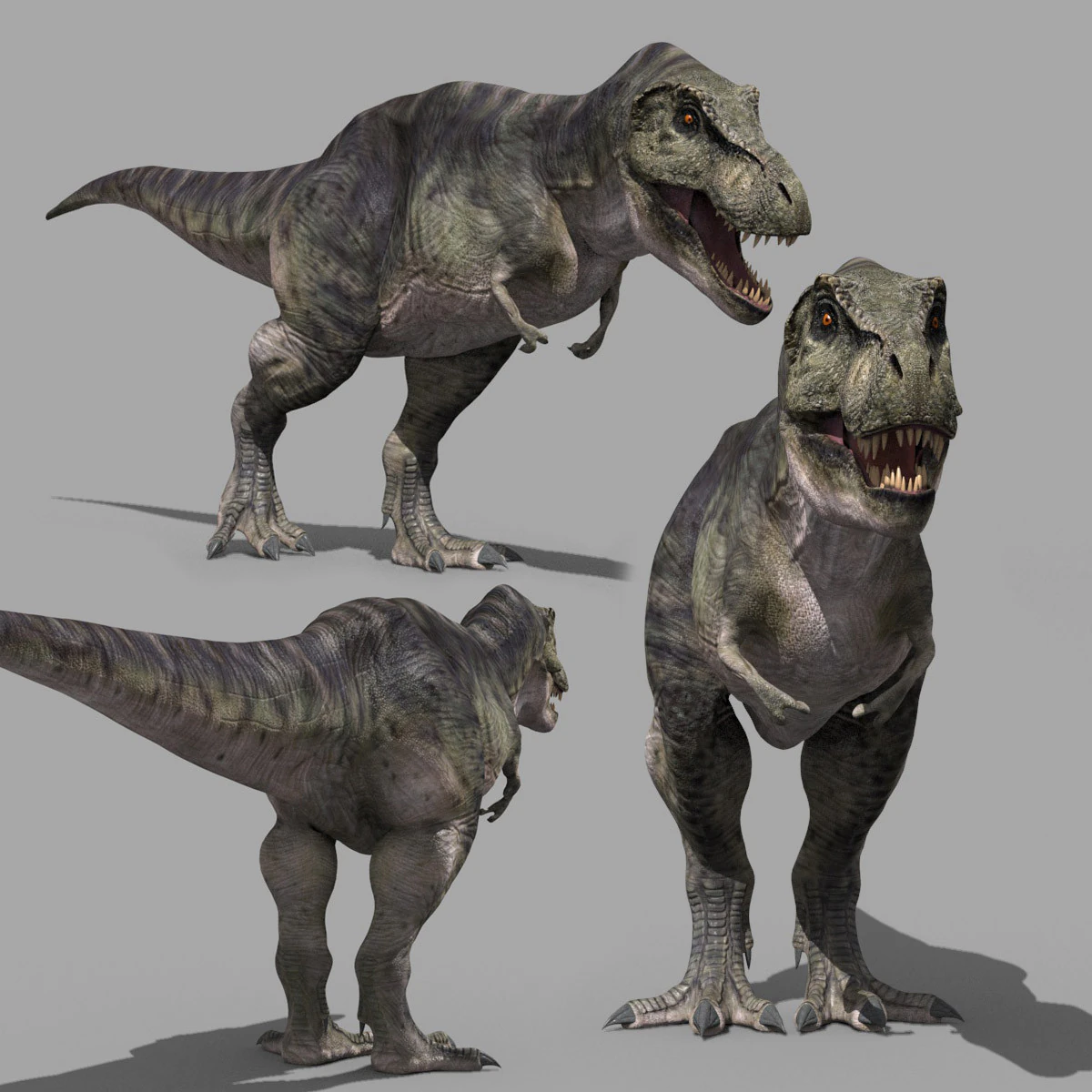 Preciso T Rex 8K - totalmente animado Modelo 3D .c4d .max .obj .3ds .fbx .stl .blend 
