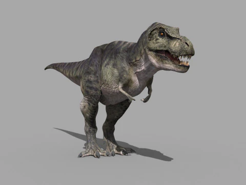 Preciso T Rex 8K - totalmente animado Modelo 3D