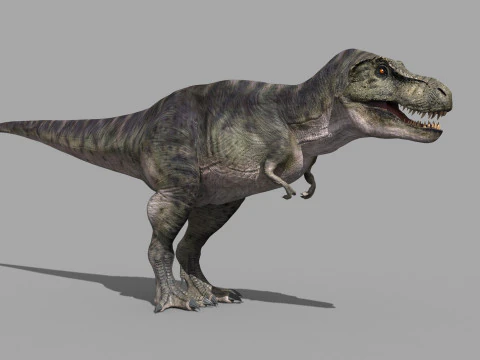 Preciso T Rex 8K - totalmente animado Modelo 3D