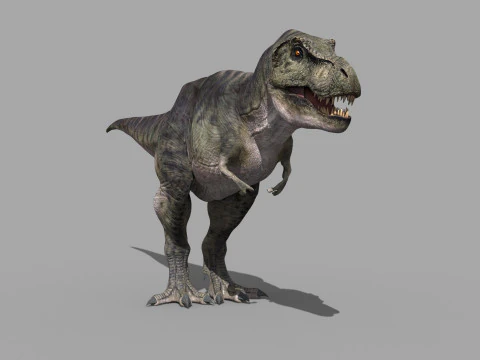 Preciso T Rex 8K - totalmente animado Modelo 3D