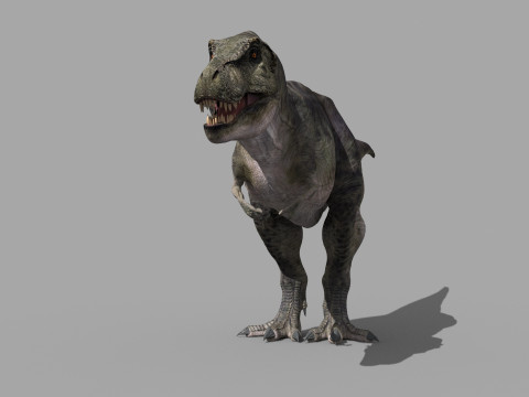 Accurate T Rex 8K - fully animated 3D Модель