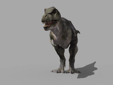 Preciso T Rex 8K - totalmente animado Modelo 3D