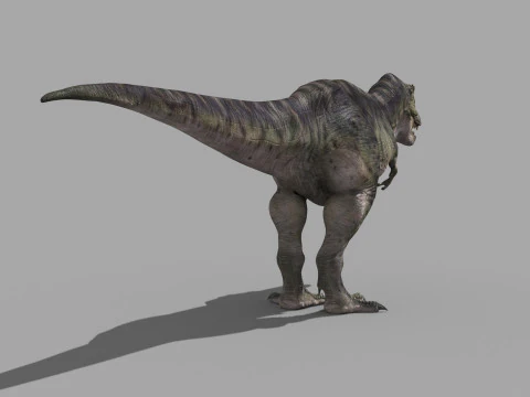 Preciso T Rex 8K - totalmente animado Modelo 3D