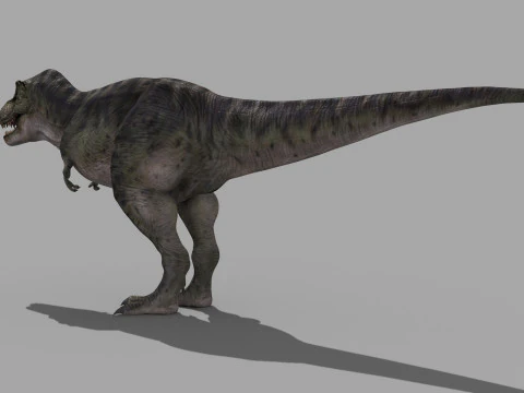 Preciso T Rex 8K - totalmente animado Modelo 3D