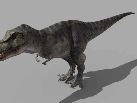 Preciso T Rex 8K - totalmente animado Modelo 3D