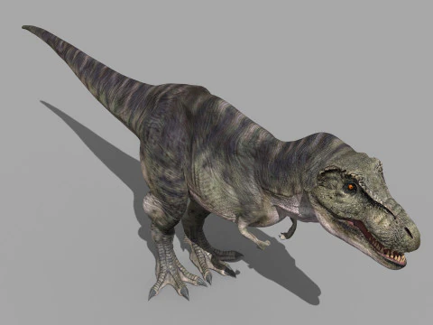 Preciso T Rex 8K - totalmente animado Modelo 3D