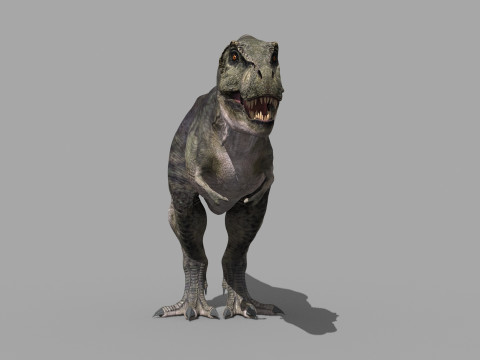 Accurate T Rex 8K - fully animated 3D Модель