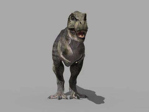 Preciso T Rex 8K - totalmente animado Modelo 3D
