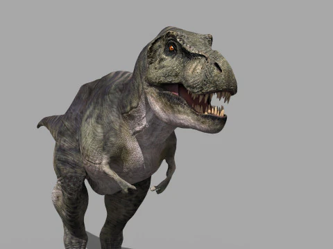 Preciso T Rex 8K - totalmente animado Modelo 3D