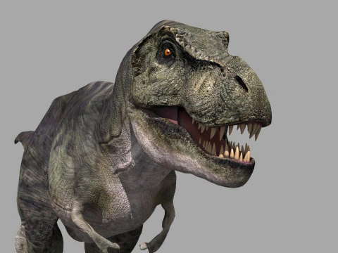 Preciso T Rex 8K - totalmente animado Modelo 3D