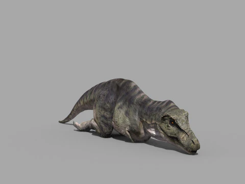 Preciso T Rex 8K - totalmente animado Modelo 3D