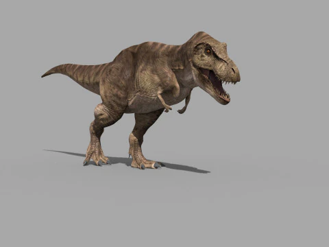 Preciso T Rex 8K - totalmente animado Modelo 3D