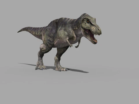 Preciso T Rex 8K - totalmente animado Modelo 3D