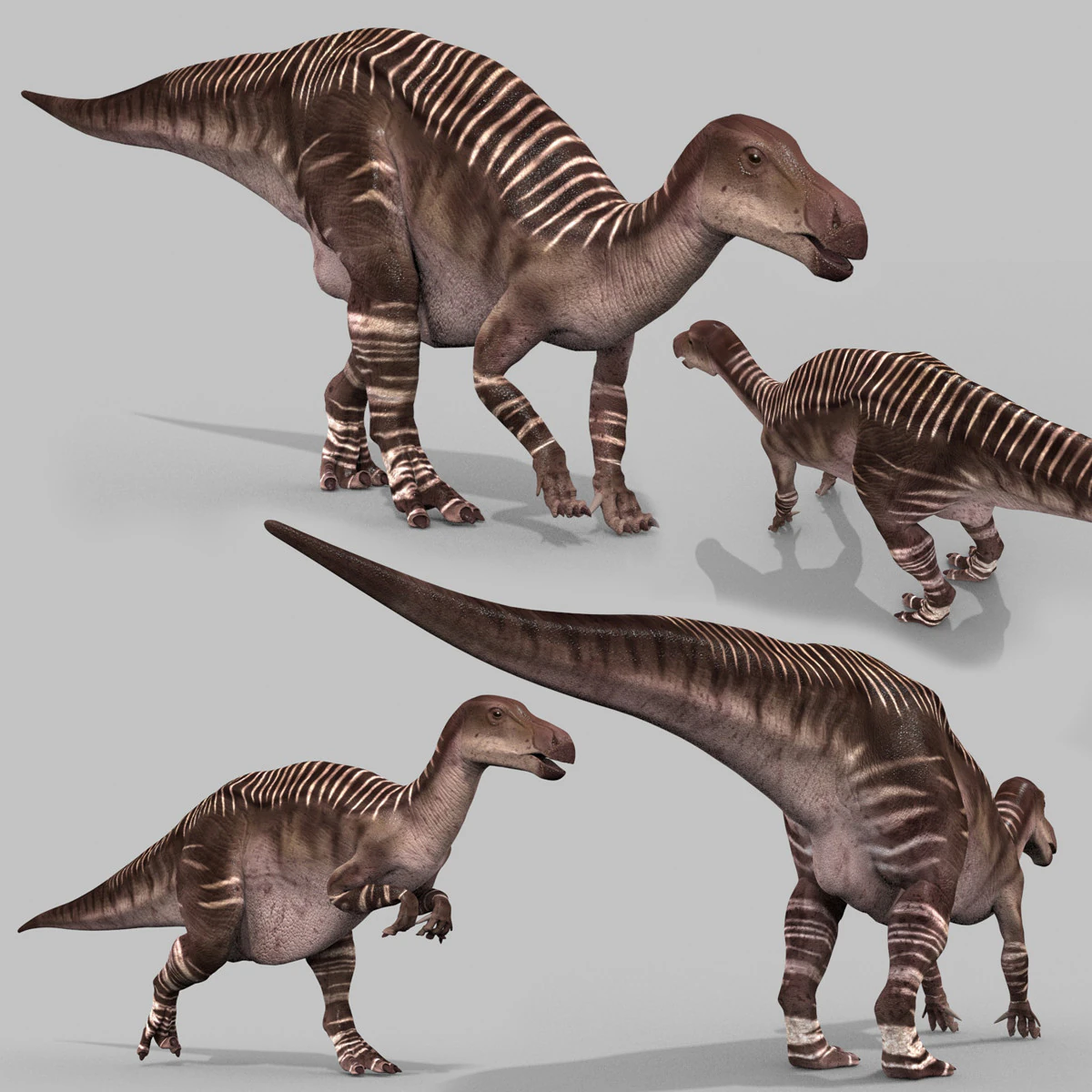 Iguanodon Lives 8K - 3d animated model 3D Model .c4d .max .obj .3ds .fbx .stl .blend 