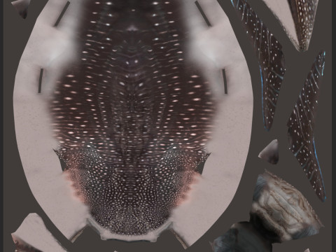 Real Whale Shark 8K - 3d animated 3D Модель