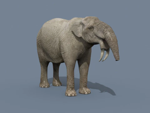 Deinotherium Thraceiensis HD - 3d animated 3D Model