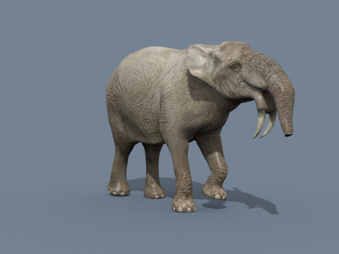 Deinotherium Thraceiensis HD - 3d animated 3D Model