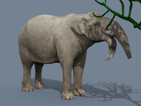 Deinotherium Thraceiensis HD - 3d animated 3D Model