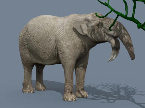 Deinotherium Thraceiensis HD - 3d animated 3D Model