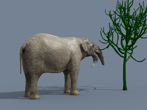 Deinotherium Thraceiensis HD - 3d animated 3D Model