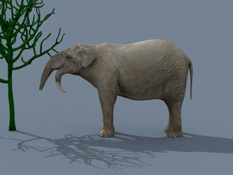 Deinotherium Thraceiensis HD - 3d animated 3D Model