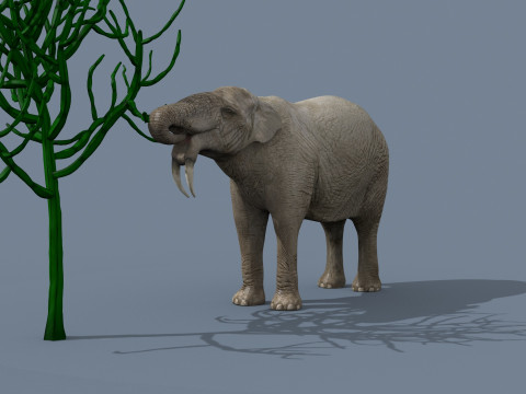 Deinotherium Thraceiensis HD - 3d animated 3D Model
