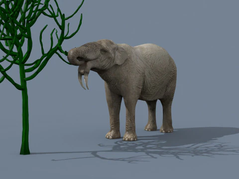 Deinotherium Thraceiensis HD - 3d animated 3D Model