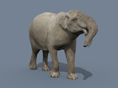 Deinotherium Thraceiensis HD - 3d animated 3D Model