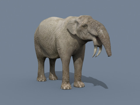 Deinotherium Thraceiensis HD - 3d animated 3D Model