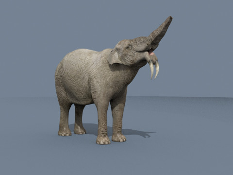 Deinotherium Thraceiensis HD - 3d animated 3D Model
