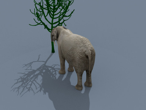 Deinotherium Thraceiensis HD - 3d animated 3D Model