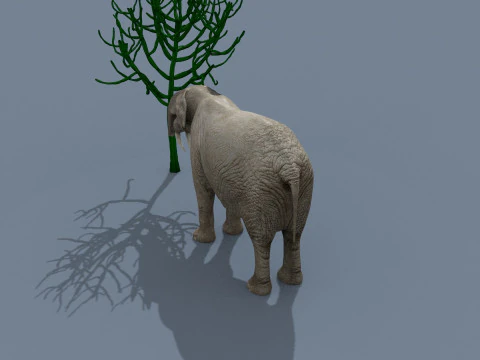 Deinotherium Thraceiensis HD - 3d animated 3D Model