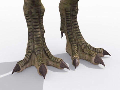 Colossal Dinosaur Pack 8K - fully animated 3D Model