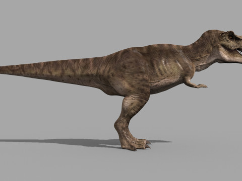 Colossal Dinosaur Pack 8K - fully animated 3D Model