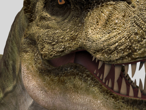 Colossal Dinosaur Pack 8K - fully animated 3D Model