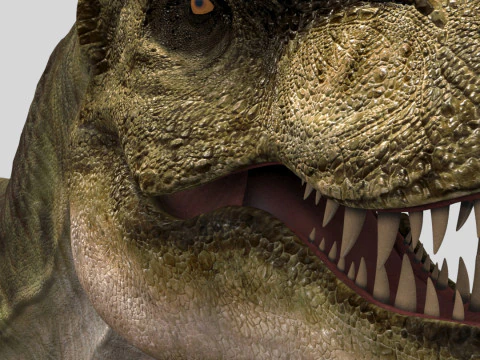 Colossal Dinosaur Pack 8K - completamente animato Modello 3D