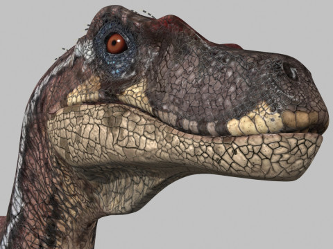 Colossal Dinosaur Pack 8K - fully animated 3D Model