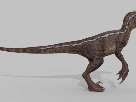 Colossal Dinosaur Pack 8K - fully animated 3D Model